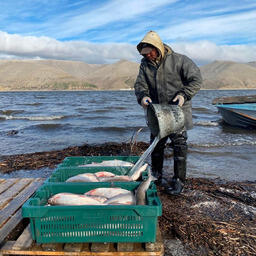 Рыбный промысел в Якутии. Фото предоставлено Русланом Лукиным