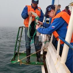 Специалисты АзНИИРХ провели комплексную океанографическую съемку в Азовском море. Фото пресс-службы ВНИРО