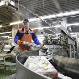 Рыбоперерабатывающее производство на Курилах. Архивное фото