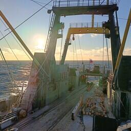 Научно-исследовательское судно Полярного филиала ВНИРО «Вильнюс» выполнило ежегодную зимнюю экспедицию. Фото пресс-службы института