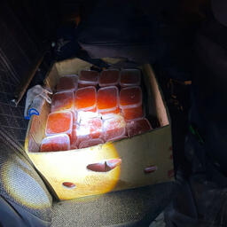 По итогам охраны лосося в летний период полицейские региона изъяли 53 литра красной икры. Фото пресс-службы УМВД по Приморскому краю