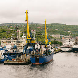 В мурманском порту опробуют упрощенную модель пропуска судов. Фото пресс-службы правительства региона