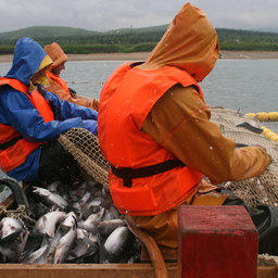 ​«Рыбный союз» рыбакам не союзник