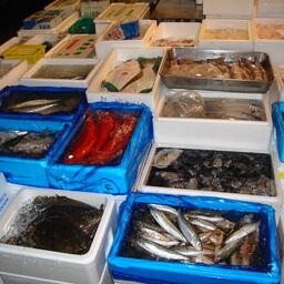 На японском рыбном рынке