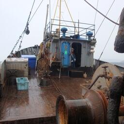 С 1 сентября территориальные управления Росрыболовства начнут прием заявок об определении вида рыболовства на 2026 г.