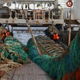 Целевые показатели по вылову на нынешний год снижены с 5,209 млн тонн до 4,9 млн тонн в базовом варианте и 5,08 млн тонн до 4,8 млн тонн в консервативном. Фото пресс-службы «Океанрыбфлота»