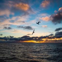 Рассвет в Охотском море