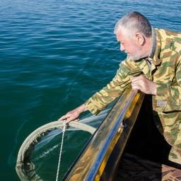 Специалисты Азовского НИИ рыбного хозяйства отслеживают, как строительство моста в Крым влияет на ихтиофауну. Фото пресс-службы института