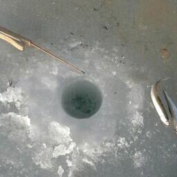 Выход на неокрепший лед за уловом может дорого обойтись. Архивное фото 