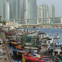 Южнокорейские промысловые суда у причала. Архивное фото