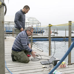 Во Владивостоке специалисты исследуют акустическую активность белух. Фото пресс-службы Приморского океанариума