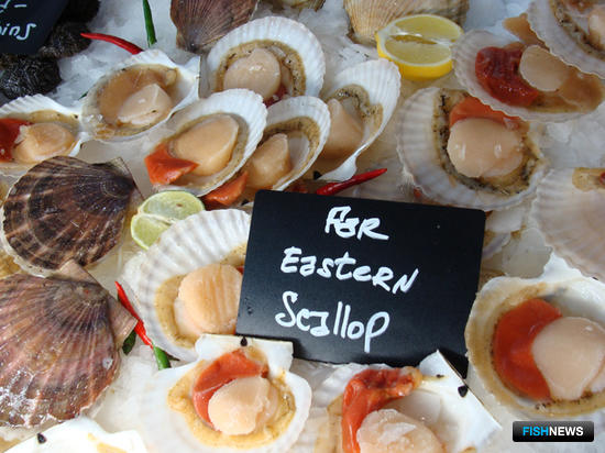 Дальневосточные компании привезли на выставку деликатесных моллюсков