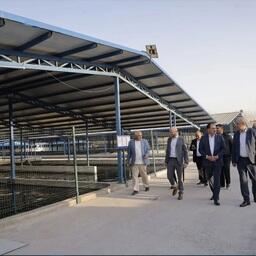 Члены смешанной комиссии посетили осетроводческое хозяйство под Ташкентом. Фото пресс-службы Минсельхоза Узбекистана