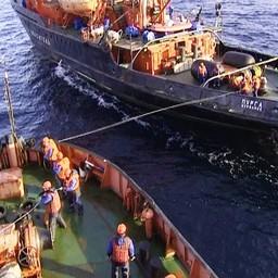Взятие аварийного судна на буксир. Фото пресс-службы Северного ЭО АСР