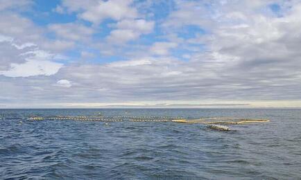 В Госдуму внесли законопроект по рыболовным участкам