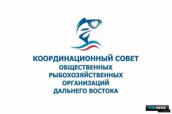 Что выберут предприятия: «прибрежка» остается с вопросами