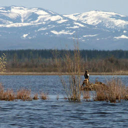 На Дальнем Востоке существует особый тип болот – мари. Фото с сайта WWF России