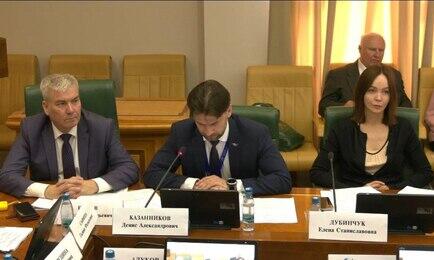 О мерах поддержки поставок продукции отечественного АПК рассказал на совещании в Совете Федерации представитель Российского экспортного центра Денис КАЗАННИКОВ. Скриншот трансляции