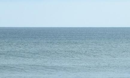 В Мурманской области еще одну компанию суд посчитал нарушителем законодательства о рыболовстве