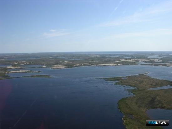 В Ямало-Ненецком автономном округе продолжат мониторинг водных объектов. Фото пресс-службы правительства региона