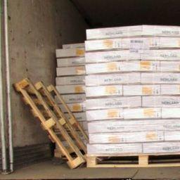 Ростовские таможенники задержали более 19 тонн мороженой сельди из Норвегии. Фото пресс-службы Южного таможенного управления