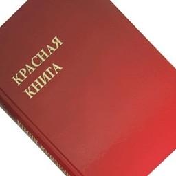 Красная книга. Фото из открытых источников