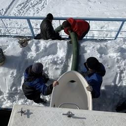 Молодь выпустили прямо под лед на порожистых участках реки Умба. Фото пресс-службы Мурманского филиала Главрыбвода