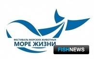 На Камчатке впервые проведут фестиваль морских животных «Море жизни»
