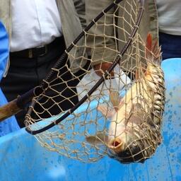 Популярность набирают экскурсии на аквафермы