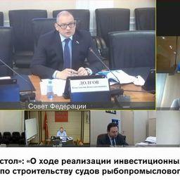 Ход выполнения инвестпроектов обсуждался 26 ноября на круглом столе в Совете Федерации