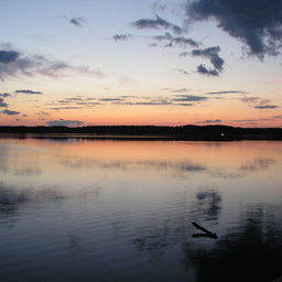 Озеро Урицкое в Псковской области. Фото из «Википедии»