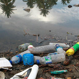 Пластиковые бутылки, упаковка и пакеты оставляют 83% мусора в Черном море. Фото Центра новостей ООН 