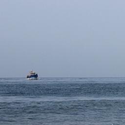 Рыбаки выбрали предложенные к освоению объемы анфельции в подзоне Приморье в Японском море