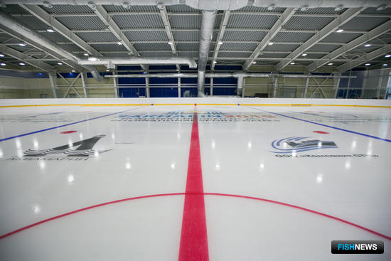 Хоккейная арена соответствует стандарту КХЛ - 60 на 30 метров