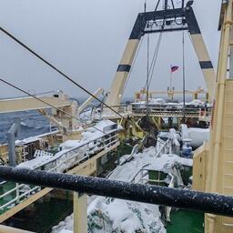 Мониторинговые работы проводились на СРТМ «Элладора». Фото пресс-службы МагаданНИРО