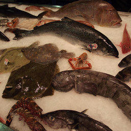 Вторая Международная рыбохозяйственная выставка «ИНТЕРФИШ». Москва, октябрь 2010 г.