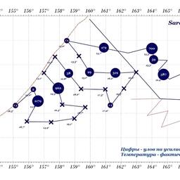 Районы обнаружения скоплений сардины НИС «ТИНРО» при выполнении поисковых работ 5-14 сентября. Изображение предоставлено пресс-службой филиала