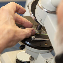 Власти Республики Коми намерены заказать рыбохозяйственные исследования на двух реках, где нерестятся семга и горбуша