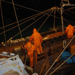 Команда судна, ведущего рыбный промысел на Дальнем Востоке