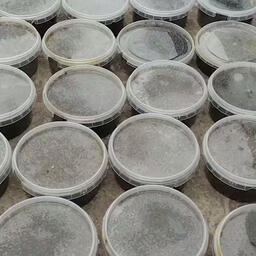 В Хабаровском крае полицейские изъяли 186 пластиковых контейнеров с черной икрой. Кадр оперативной съемки