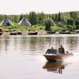 Стойбище в Ямало-Ненецком автономном округе. Фото пресс-службы правительства ЯНАО