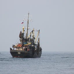 ЦСМС рекомендует рыбакам поспешить с освоением ЭПЖ
