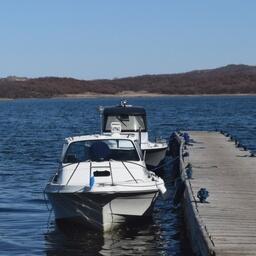 Морзверобоям ЧАО предлагают помочь из федерального бюджета