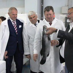Рабочая встреча руководства Федерального агентства по рыболовству с членами профильных комитетов Государственной Думы и Совета Федерации.