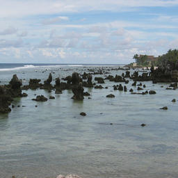 Коралловые рифы у побережья Науру. Фото D-online («Википедия»)
