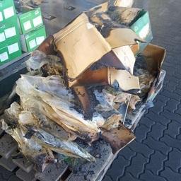 Коробки с чилийским кижучем оказались обгоревшими, рыба – порченой. Фото пресс-службы Россельхознадзора
