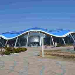 Представители Приморского океанариума рассказали об основных научных итогах 2025 г.