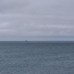 ​Специалисты посчитали возможным увеличить рекомендованный вылов сельди в Восточно-Сахалинской подзоне на 5 тыс. тонн