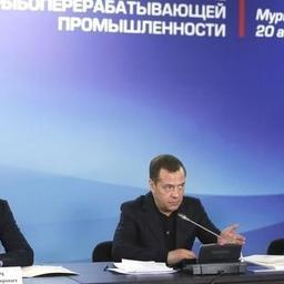 О вопросах рыбной отрасли премьер-министру Дмитрий МЕДВЕДЕВУ рассказали на совещании в Мурманской области. Фото пресс-службы правительства