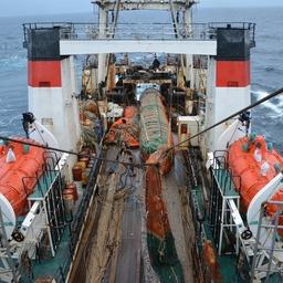 К 16 октября российские рыбаки добыли более 4 млн тонн